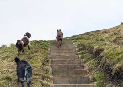 wooden steps on Lang Craigs