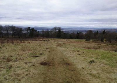 Overtoun woods