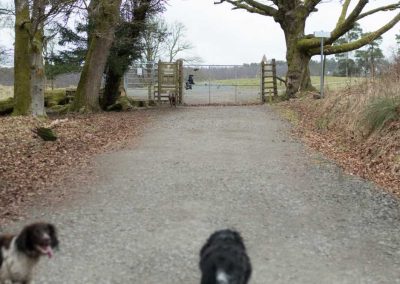 entering the Lang Craigs