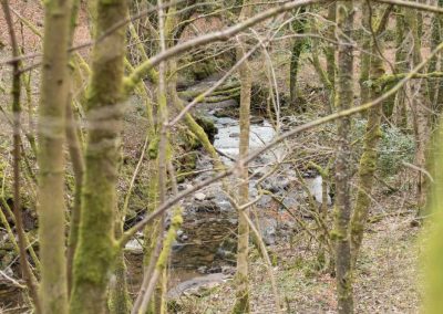 overtoun burn