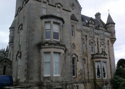 dogs standing in front of overtoun house
