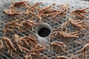 dried chicken feet