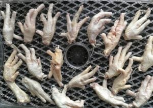drying chicken feet