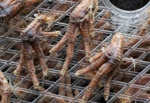 close up dried chicken foot