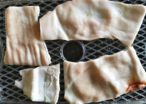 pig skin