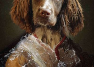 springer spaniel portrait