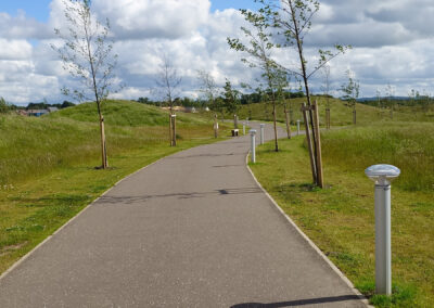 pathway with trees and grass