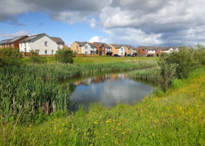 pond in dargavel