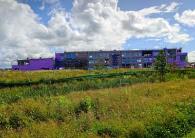 new dargavel primary school