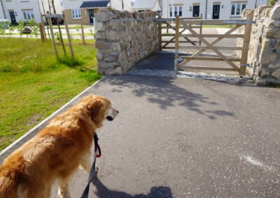dargavel park entrance