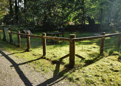 finlaystone dog park