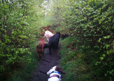 walking on a muddy path