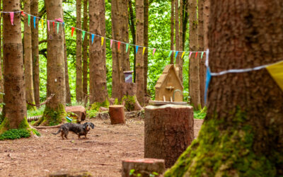 Perfect inspects Fairy Village Fairy village in finlaystone