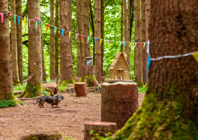 Fairy village in finlaystone