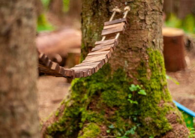 a fairy bridge in finlaystone
