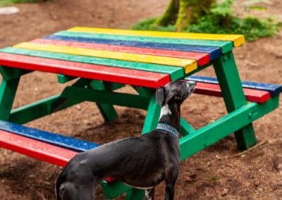 fairy bench in finlyastone