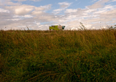 Combine harvester in a field