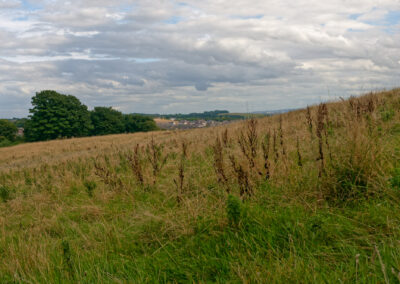 countryside