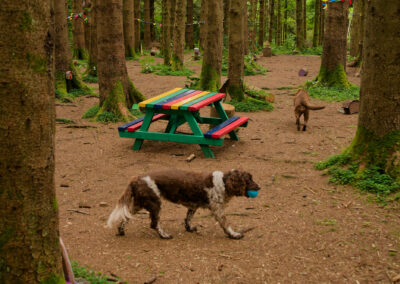 finlaystone fairy village