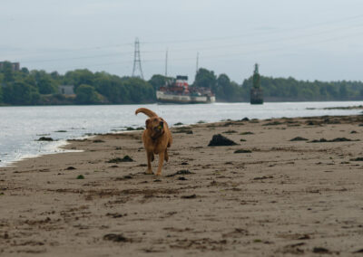 the Waverley passing by Erskine beach