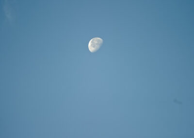 the moon in the morning sky
