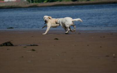 _DSC2621_DxO