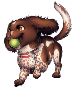 CARTOON SPRINGER SPANIEL
