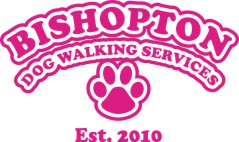 PINK BDWS LOGO PINK BDWS LOGO