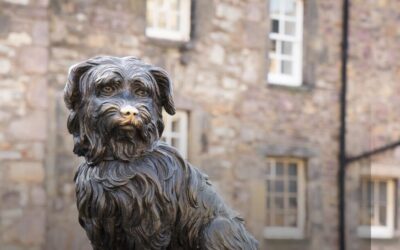 Screenshot_from_2022_09_11_02_ Bobby a Skye Terrier monument