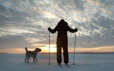 UniversalUpscaler_Pro_Precise_3_1f172d4d-ee5e-6e80-9dda-b49eb4072668 cross country skier watches as the sun rises with a dog
