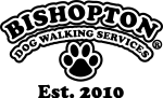 bdws logo