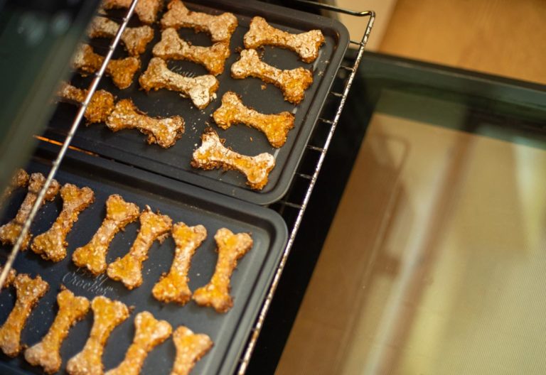 dog biscuits being pulled out oven