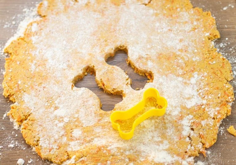 dog biscuit cutter