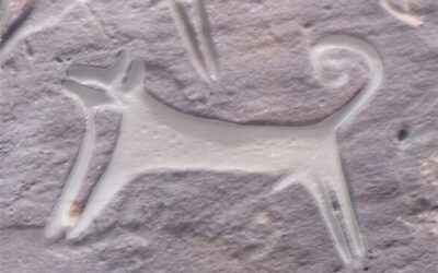 dog cave drawing