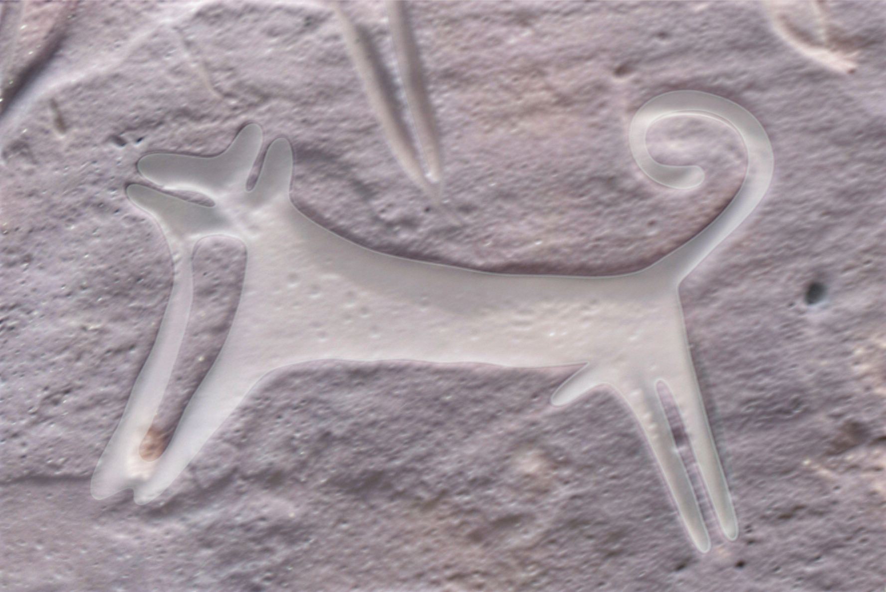 Earliest cave drawings of dogs found by archaeologists