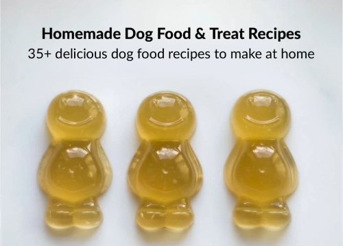 doggy jelly babies