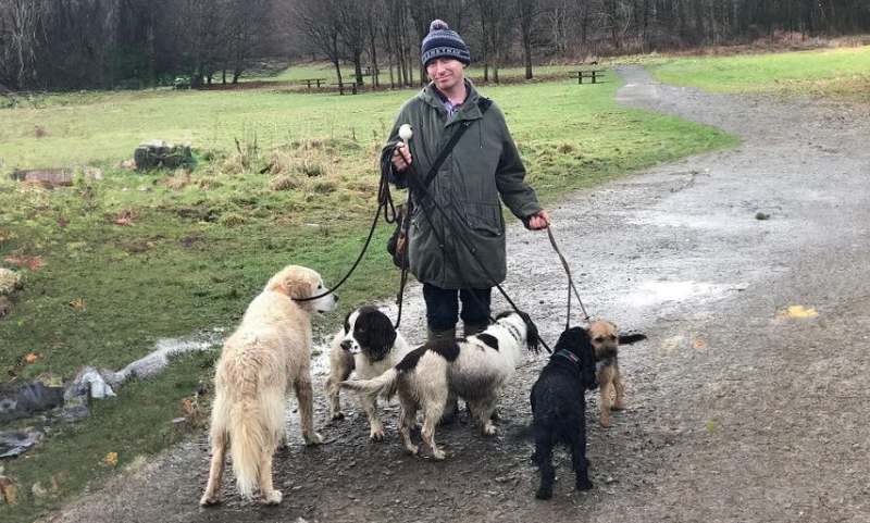 Dog walker with dogs