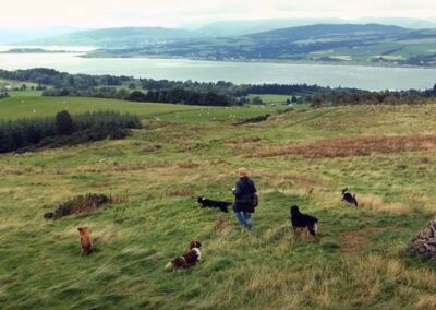 dog walking in langbank