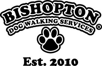 dog walking logo