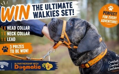 dogmatic prize Dogmatic BDWS competition