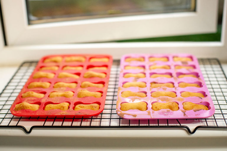 dog treats cooling on a window sill