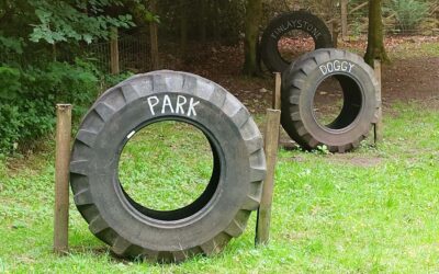 finlaystone doggy park finlaystone doggy park