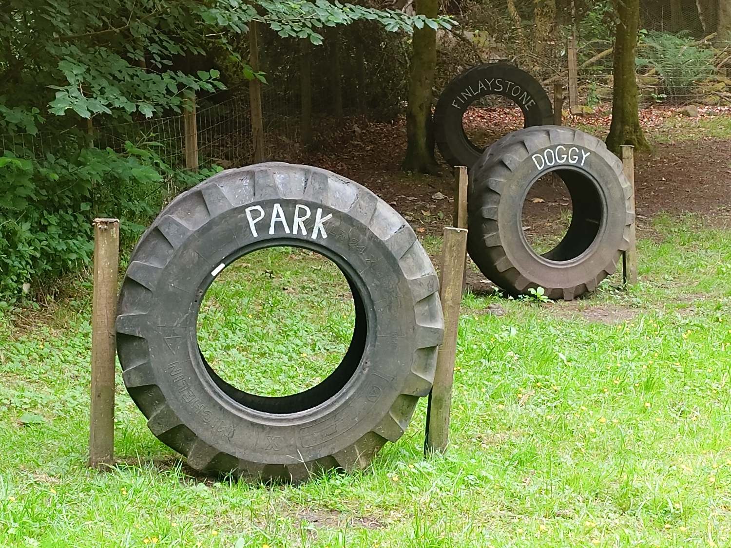 finlaystone doggy park