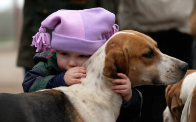 gemini-2.5-flash-image_A_toddler_crying_while_embracing_a_foxhound.-0 A toddler crying while embracing a foxhound.