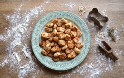 gluten free dog treat recipe gluten free dog biscuits sitting on a kitchen worktop