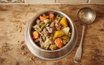homemade dog food in a bowl a bowl of dog food sitting on a kitchen worktop