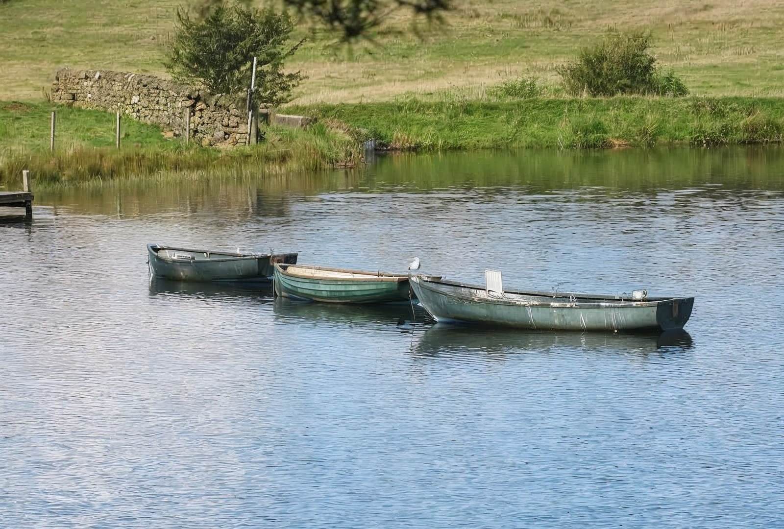 fishing boats on Knapps Loch, Kilmacolm