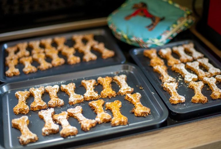 dog biscuits cooling
