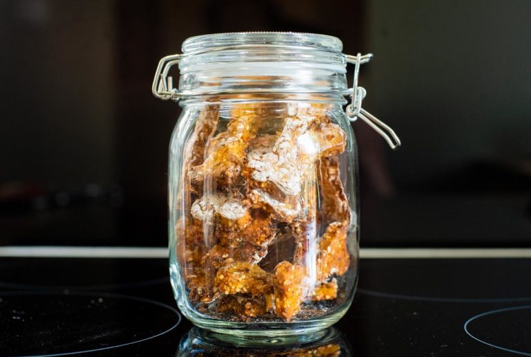dog biscuits in jar