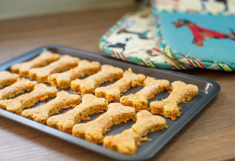 raw dog biscuits on tray